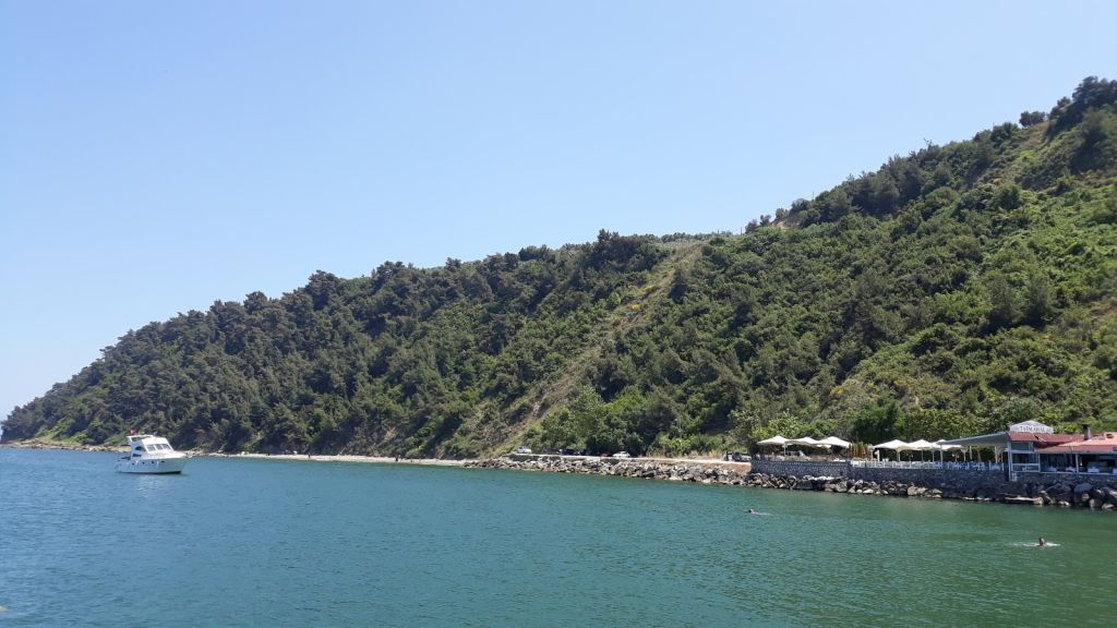 Ayvalık’ın eşsiz doğal güzelliklerinden biri olan Çamlık Plajı, berrak denizi