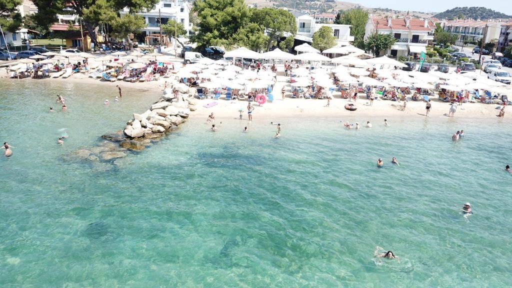 282870606 - Marmara Bölge Gazetesi