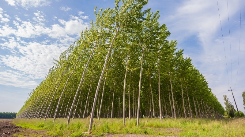 3 10 - Marmara Bölge Gazetesi