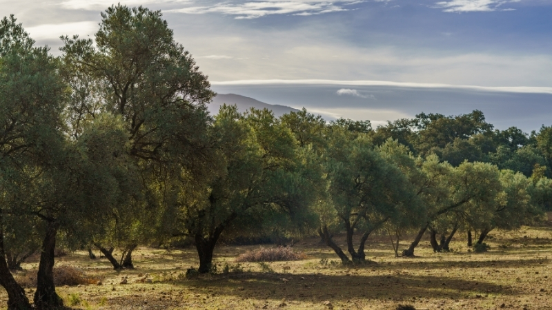 Bandırma’da 40 Yaş Altı Çiftçilere Ücretsiz Gübre Dağıtılacak 3 3 - Marmara Bölge Gazetesi