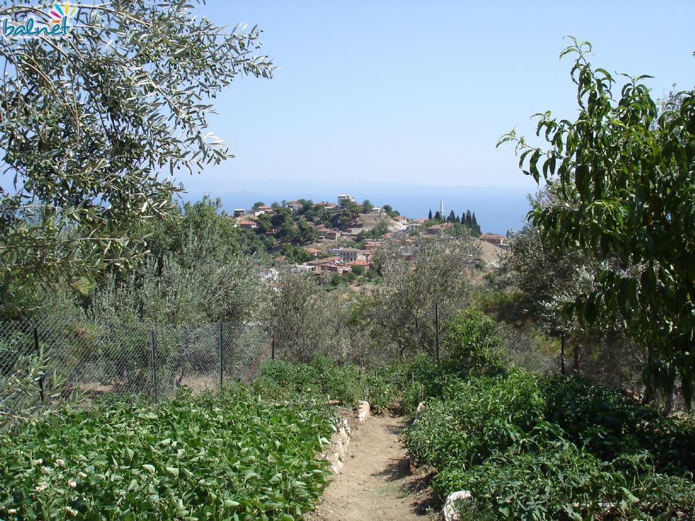 33 1699 832194298 - Marmara Bölge Gazetesi