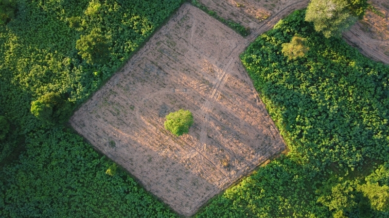 İki yıl üst üste işlenmeyen tarım arazileri, üretime kazandırılmak amacıyla