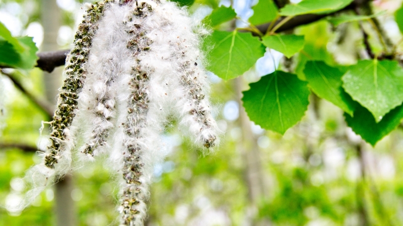 4 8 - Marmara Bölge Gazetesi