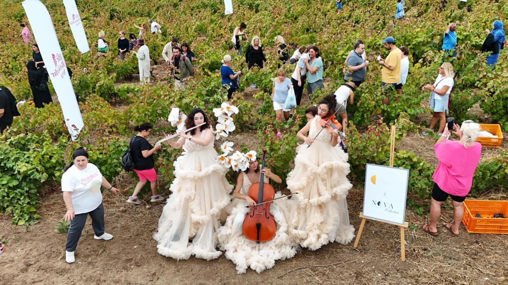 Üzüm Hasadı Festivali Başladı! 544928850 1161750652653277 4693961014985076290 n - Marmara Bölge Gazetesi