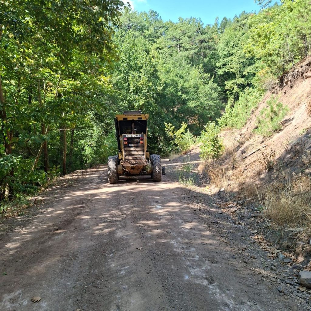 547279972 122211506618300867 6948999930374801001 n - Marmara Bölge Gazetesi