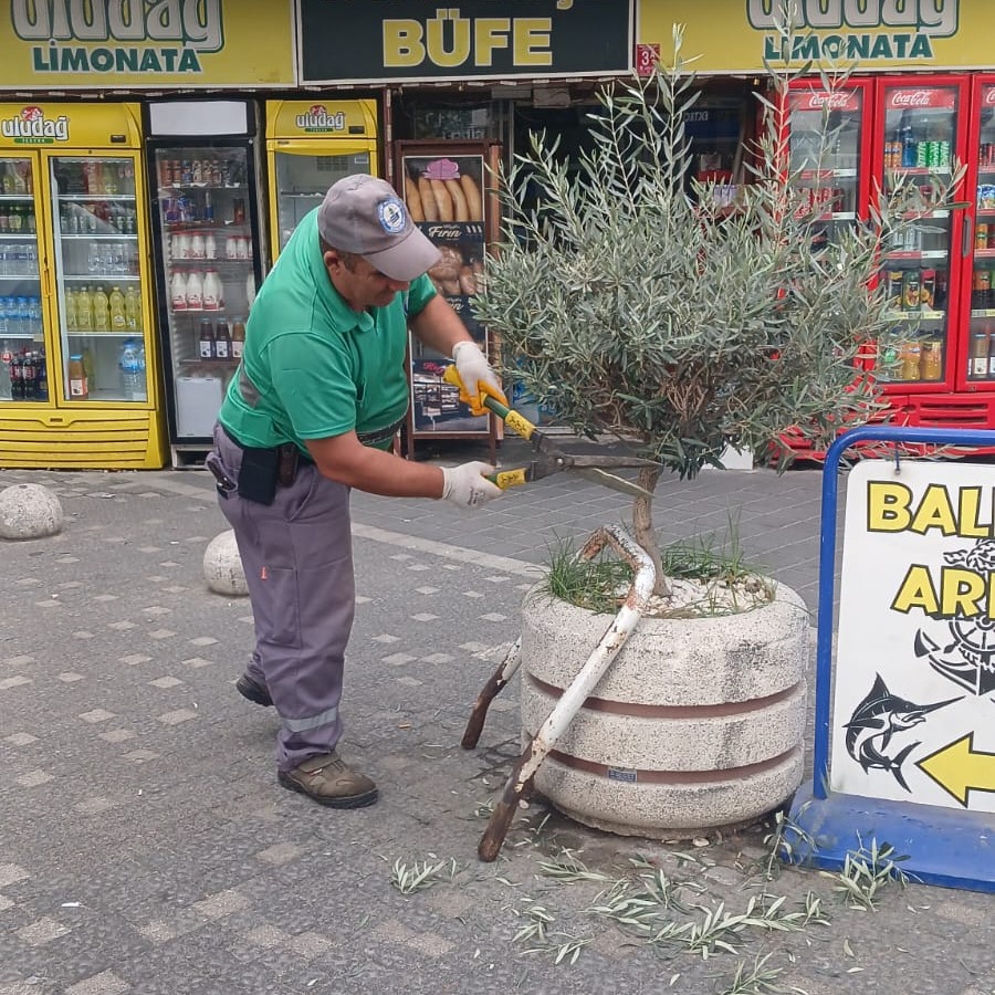 Edremit’te Beklenti Yüksek! 547438394 797104176013943 4845187722083037969 n - Marmara Bölge Gazetesi