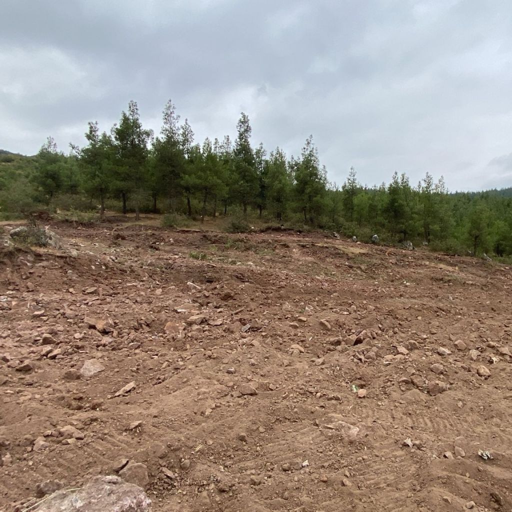 Bigadiç’te Barınak Yenileniyor! 548273482 122211605870300867 2285557557725751232 n - Marmara Bölge Gazetesi