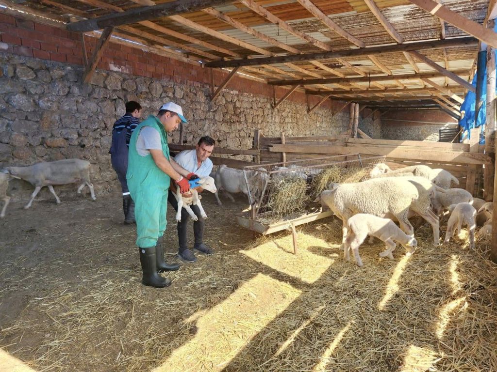 548376109 1193953939442133 2837185125956903774 n - Marmara Bölge Gazetesi