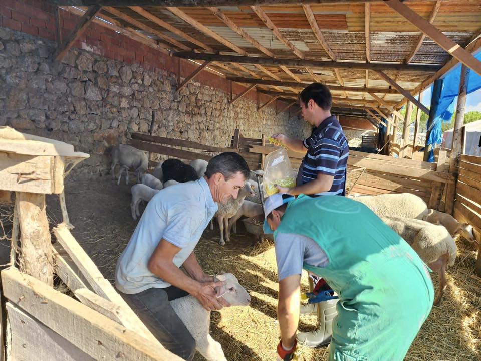 549305677 1193953582775502 5620907384880900597 n - Marmara Bölge Gazetesi