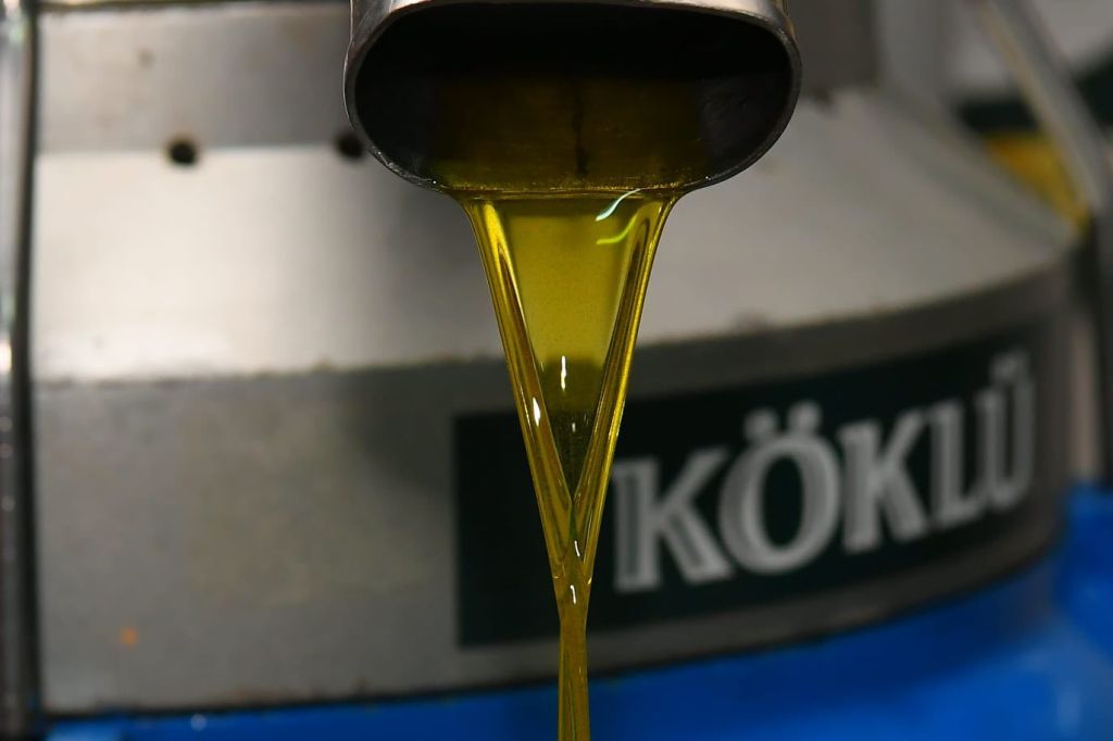 549409204 1194982682672592 2285323838172912865 n - Marmara Bölge Gazetesi