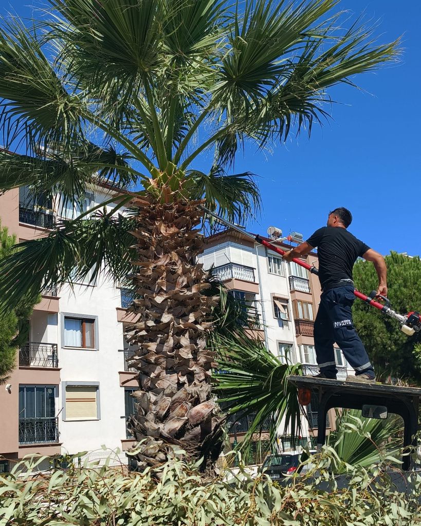 550994031 803504082040619 3343748871555193394 n - Marmara Bölge Gazetesi