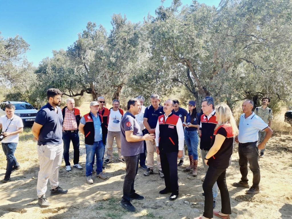 Zeytin Bahçeleri Artık Dronlarla İlaçlanacak! 552356574 1199342252236635 5307314594273592251 n - Marmara Bölge Gazetesi
