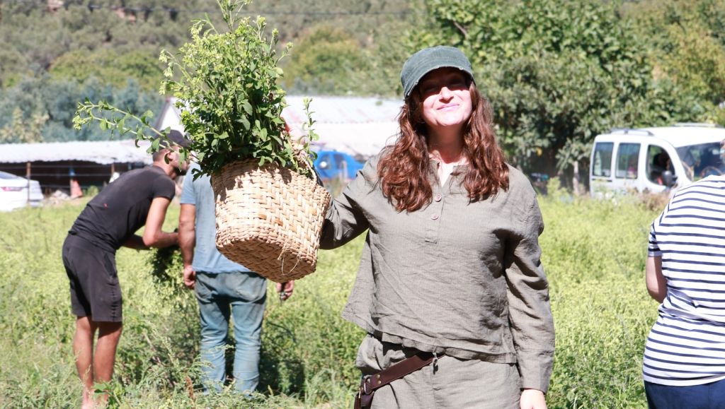 Marmara’da Tarımda Yeni Dönem: Stevia Hasadı Başladı! 553512637 18318592411211244 4834567968187171282 n - Marmara Bölge Gazetesi