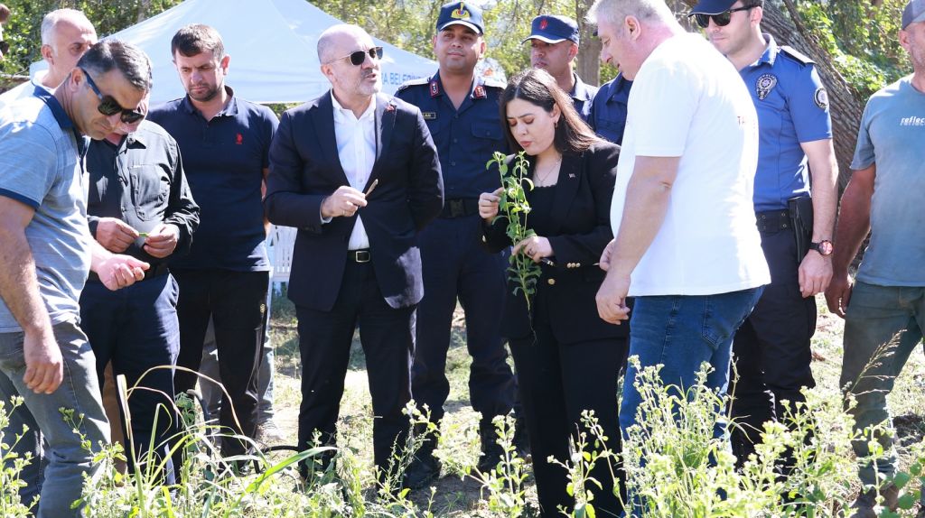 Marmara Adalar Belediyesi ve Kaymakamlık iş birliğiyle hayata geçirilen Stevia