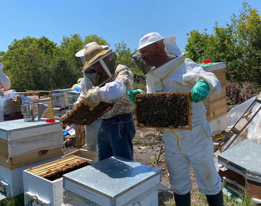 Balıkesir Üniversitesi’nin yürüttüğü proje ile çevre dostu yöntemlerle üretilen bal,