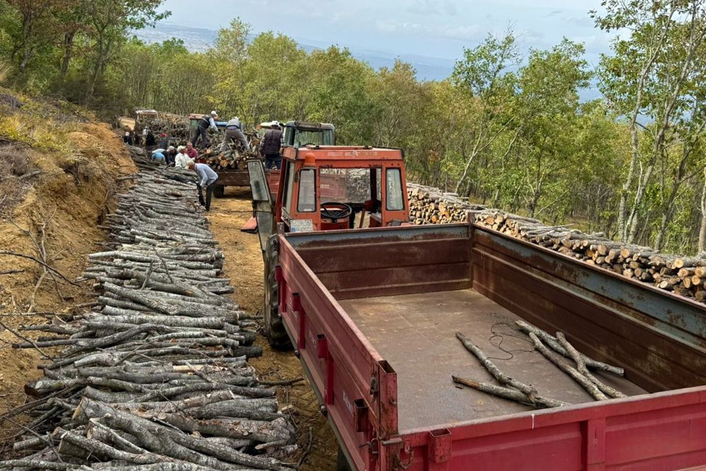 Balıkesir Orman Bölge Müdürlüğü, kış öncesi orman köylüsüne yönelik destek