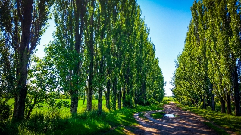 6 2 - Marmara Bölge Gazetesi