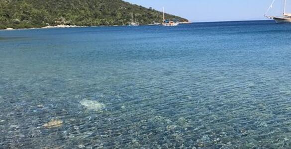 607484271a5d70a14cc6948f - Marmara Bölge Gazetesi