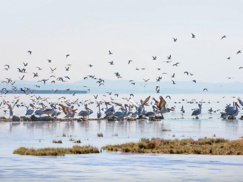 6078a731a344d43c9ec4747a - Marmara Bölge Gazetesi