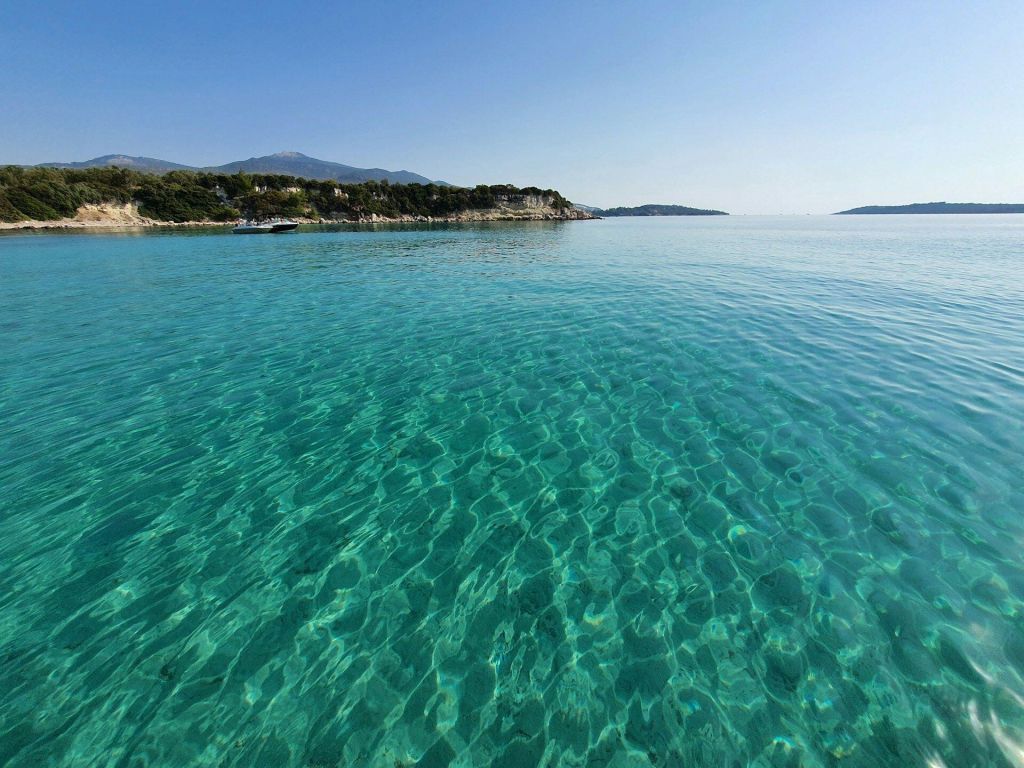 65633418a119a526c4c49183 - Marmara Bölge Gazetesi