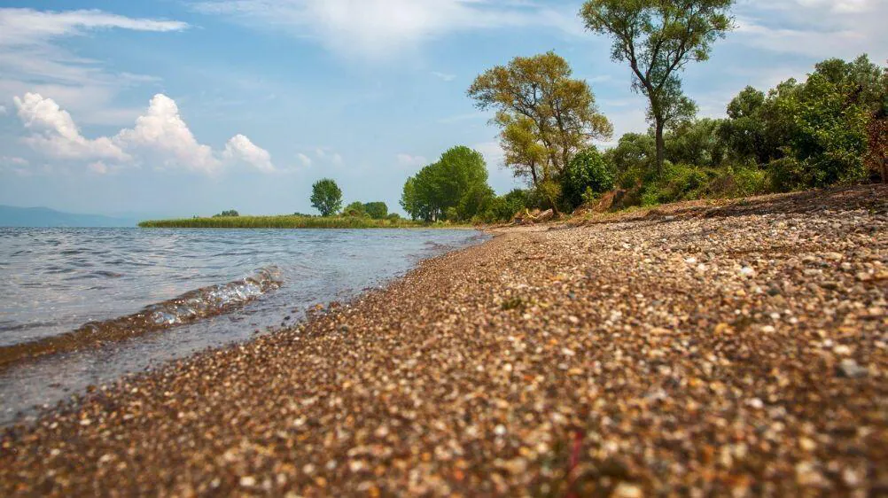 Ayvalık’ın merkezine sadece birkaç dakika uzaklıkta bulunan Armutçuk Plajı, sakin