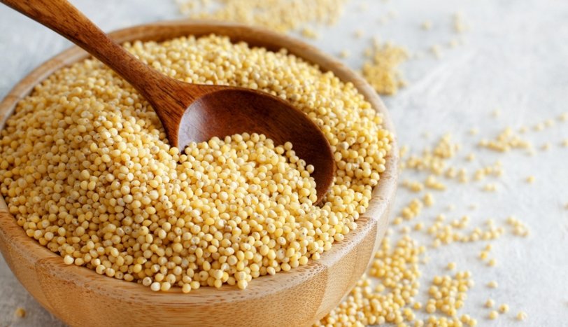 Darı, dünyanın en zengin magnezyum kaynaklarından biri olarak sağlığa sayısız