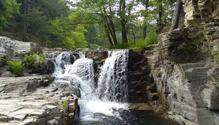 Tabiatın kalbinde gizli bir cennet sunan Darıdere Tabiat Parkı, Edremit’te
