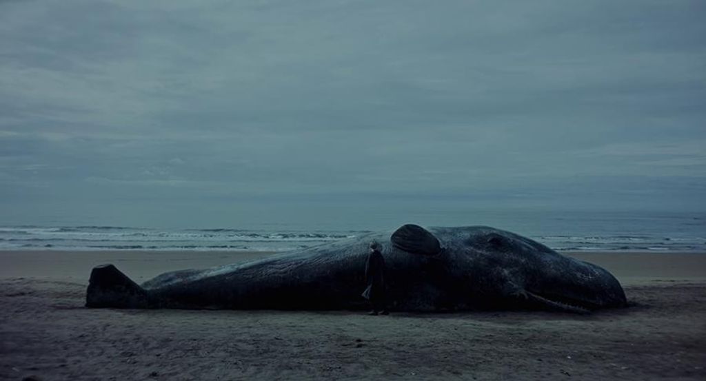 A Whale - Marmara Bölge Gazetesi