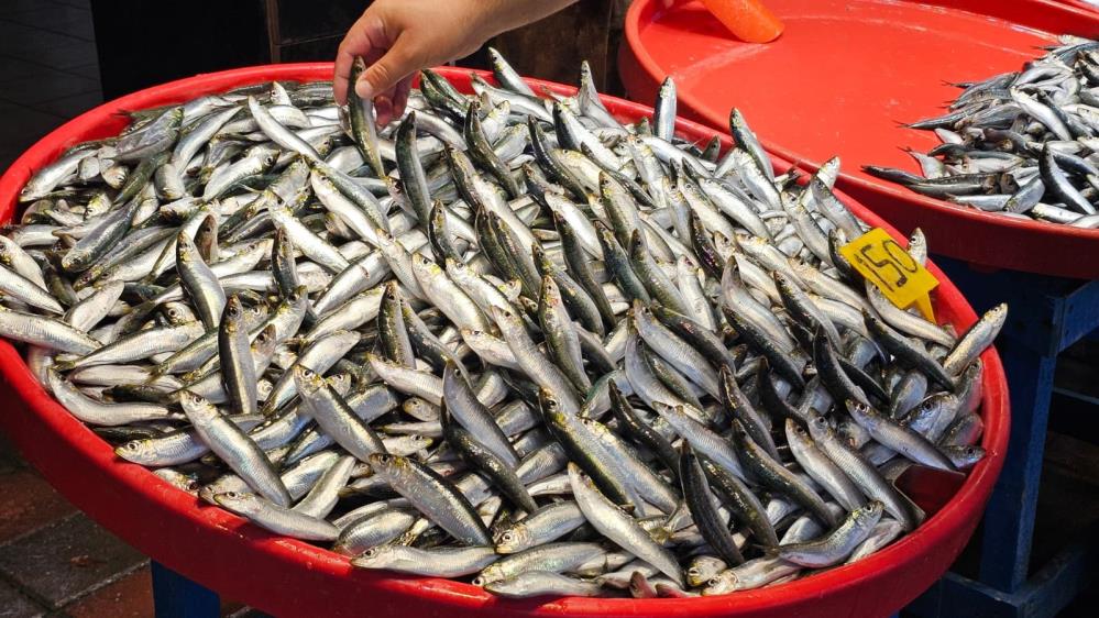 Av yasağının sona ermesiyle Bandırma'da tezgahlar şenlendi. Sabahın ilk ışıklarıyla