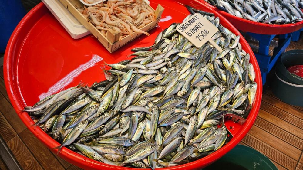 AW529606 03 - Marmara Bölge Gazetesi