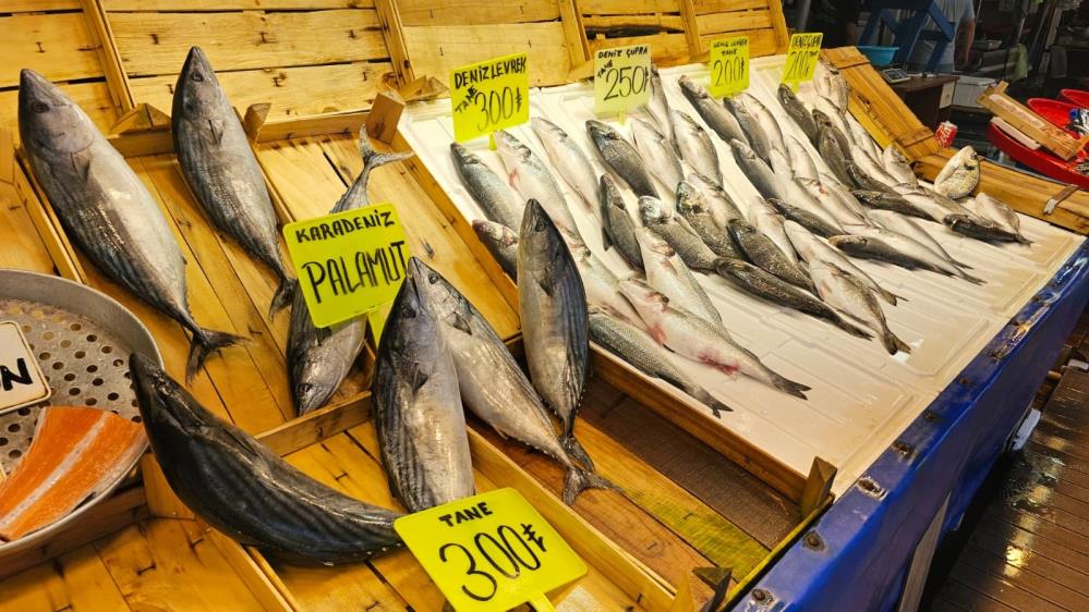 AW529606 05 - Marmara Bölge Gazetesi