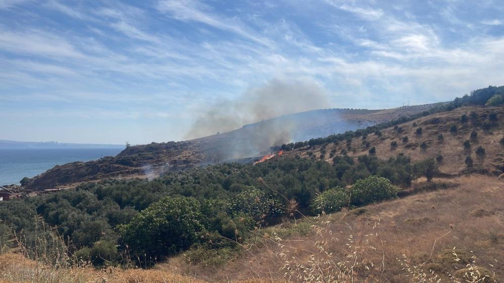 Balıkesir’in Erdek ilçesi Karşıyaka Mahallesi’nde, tersane üst kısmındaki otluk alanda