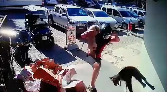 Sokak Kedisine Vahşet! AW535432 01 - Marmara Bölge Gazetesi