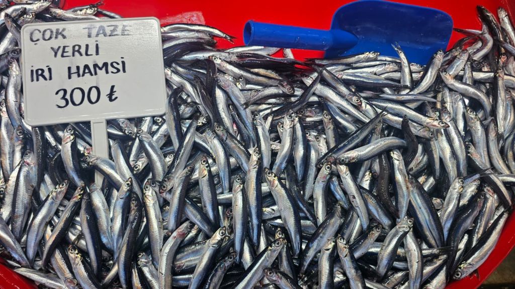 Balık Fiyatları Uçtu: Hamsi 300, Barbun 500 TL’ye Dayandı AW539613 02 - Marmara Bölge Gazetesi