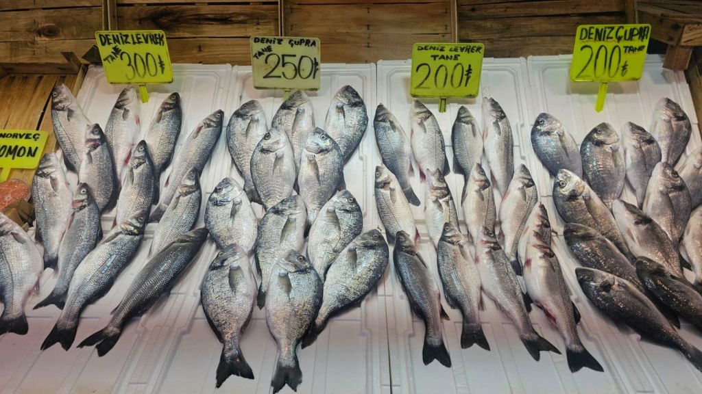 Balık Fiyatları Uçtu: Hamsi 300, Barbun 500 TL’ye Dayandı AW539613 05 - Marmara Bölge Gazetesi