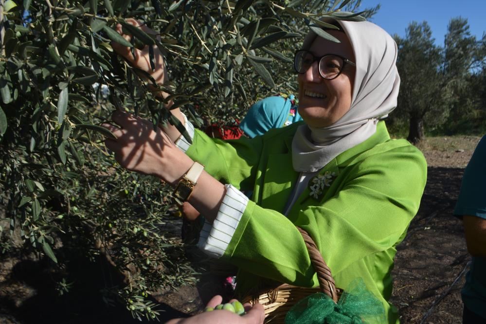 Kazdağları’nın Oksijeninde İlk Hasat Başladı! AW542073 08 - Marmara Bölge Gazetesi