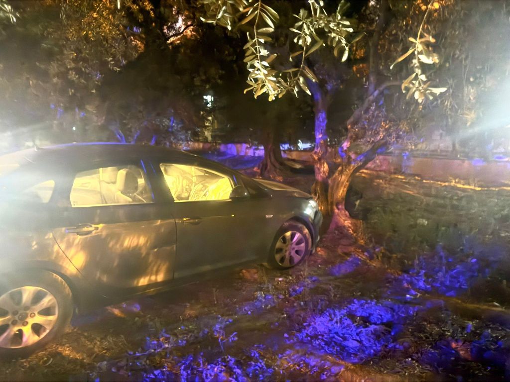 AW542405 01 - Marmara Bölge Gazetesi