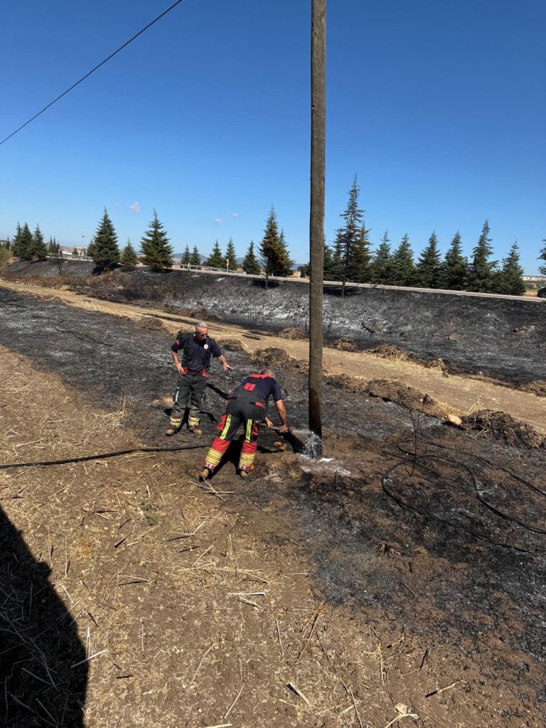 AW542741 03 - Marmara Bölge Gazetesi