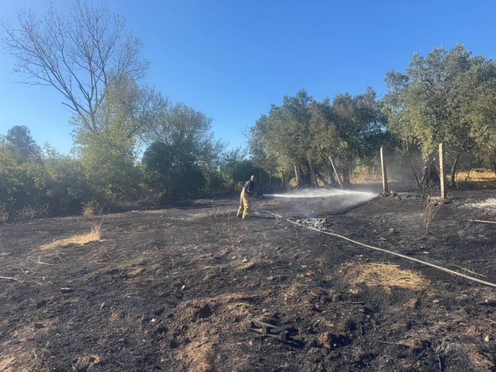 AW545118 04 - Marmara Bölge Gazetesi