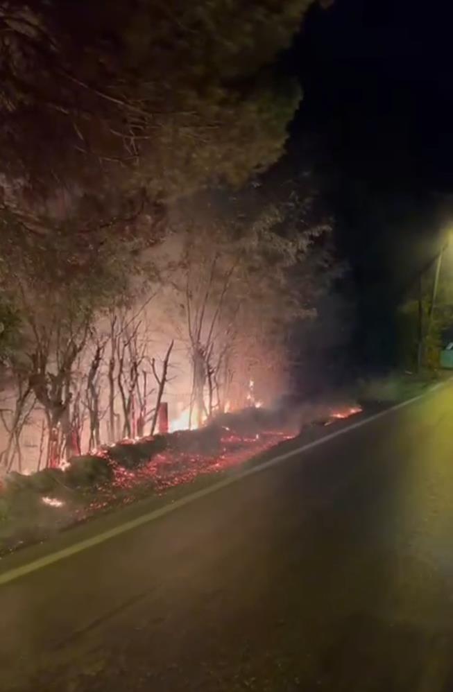 AW546714 04 - Marmara Bölge Gazetesi