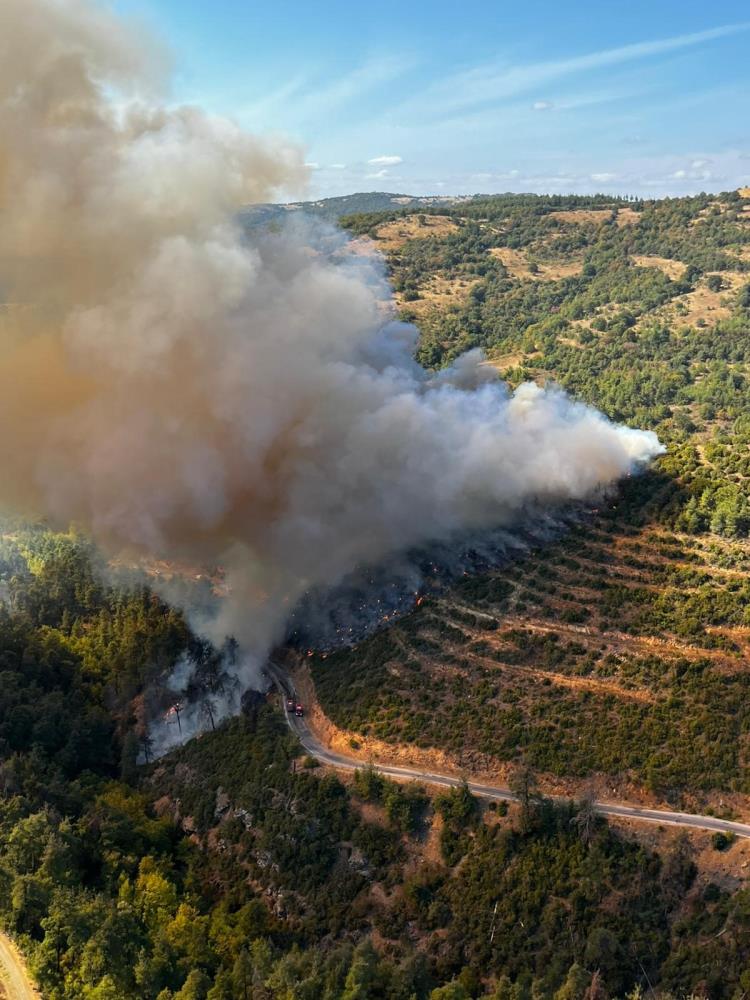 Kepsut’ta Araç Yangını Ormana Sıçradı! AW547089 02 1 - Marmara Bölge Gazetesi