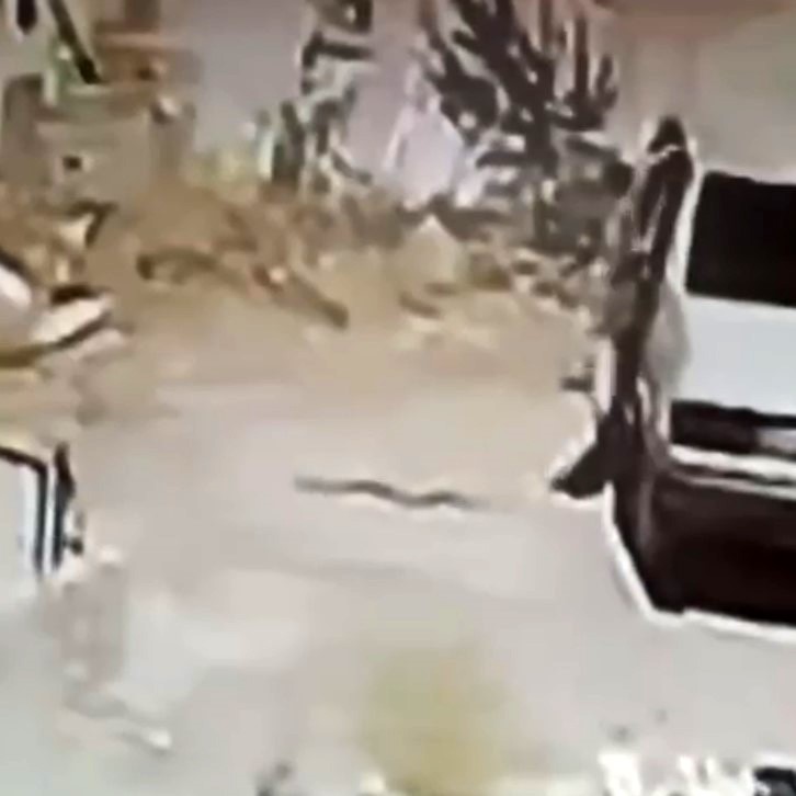 Seyir Halindeki Araçta Yılan Çıktı! Sürücü Kendini Yola Attı AW547471 02 - Marmara Bölge Gazetesi