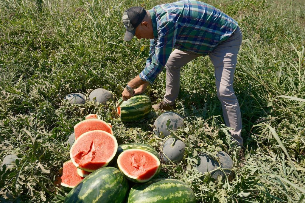AW548659 01 - Marmara Bölge Gazetesi