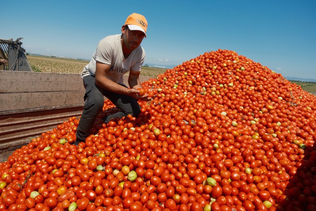 AW548659 03 - Marmara Bölge Gazetesi