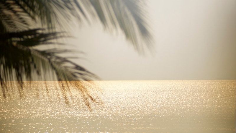 Balıkesir Karadut Plajı Berrak Deniziyle Tatilcilerin Yeni Gözdesi Adsiz tasarim 1 87 - Marmara Bölge Gazetesi