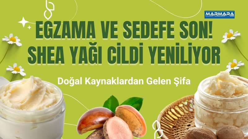 Doğadan gelen mucize shea yağı, kuru ve yıpranmış ciltler için