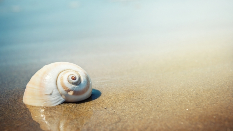 Adsiz tasarim 154 - Marmara Bölge Gazetesi