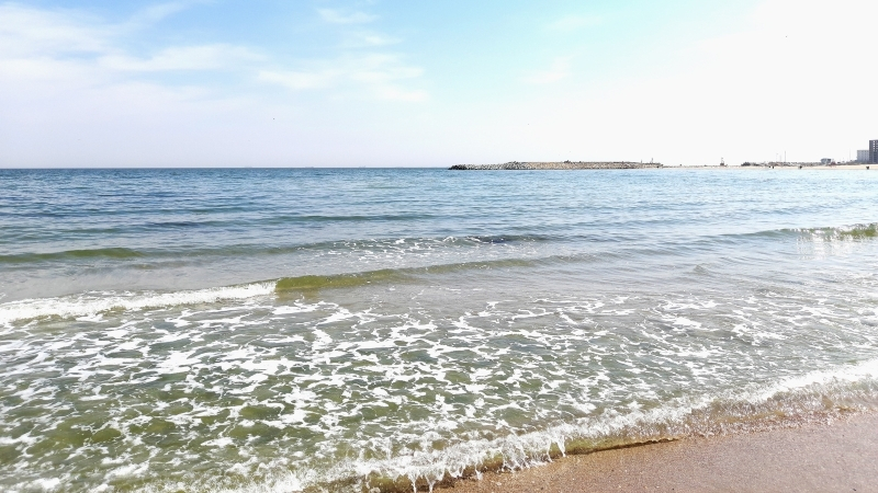 Adsiz tasarim 186 - Marmara Bölge Gazetesi