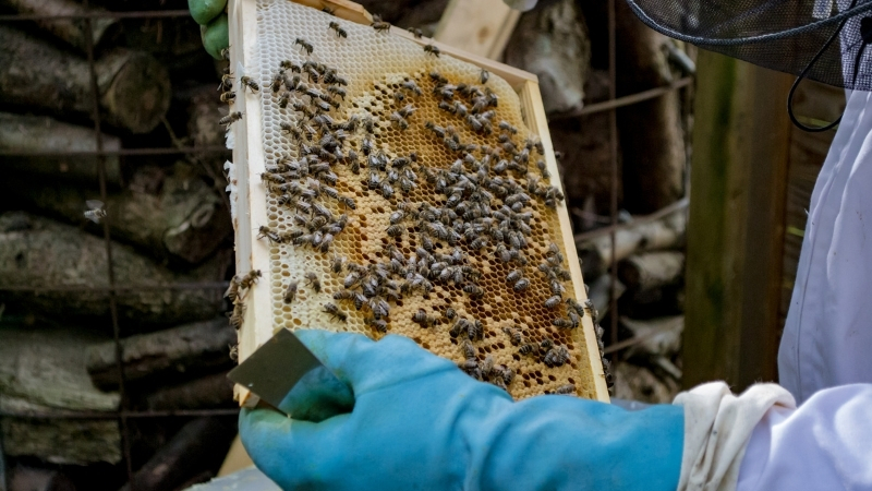 Adsiz tasarim 2 104 - Marmara Bölge Gazetesi