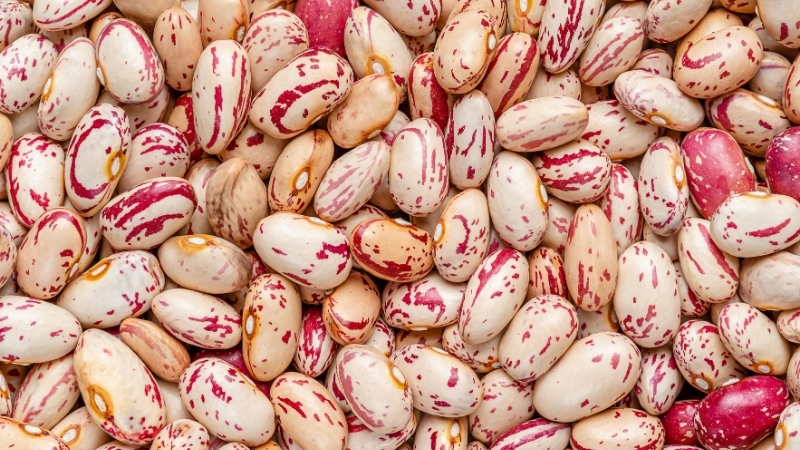 Kış Hazırlıkları Başladı! Barbunya Tezgâhların Gözdesi Adsiz tasarim 215 - Marmara Bölge Gazetesi